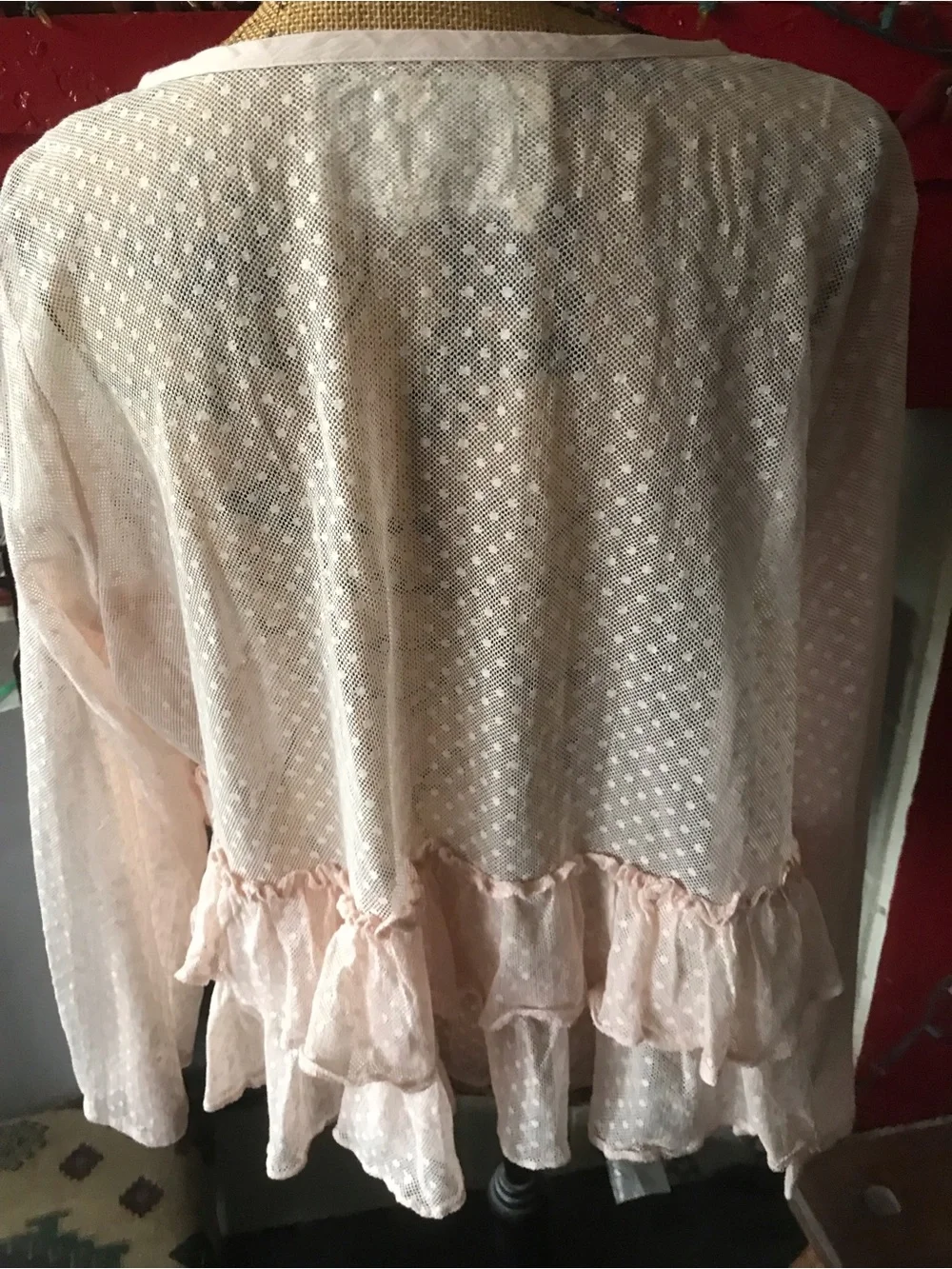 Heart’s Desire by Mary Grace Sheer Blush Pink Ruffled Tie-Front top - Picture 4 of 14